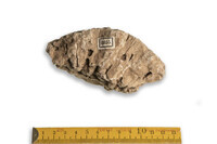 F 08855
<br/>
<br/>
<em></em>